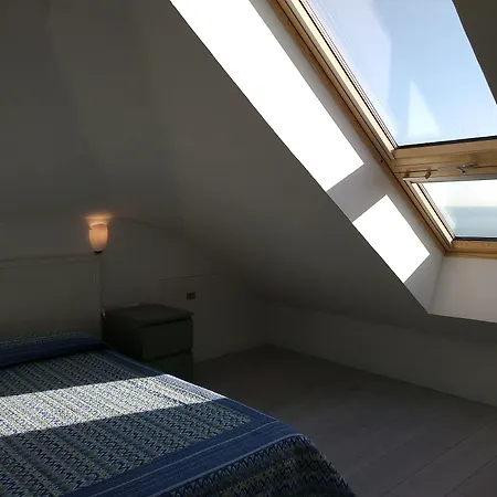 Blu 리그나노 사비아도로